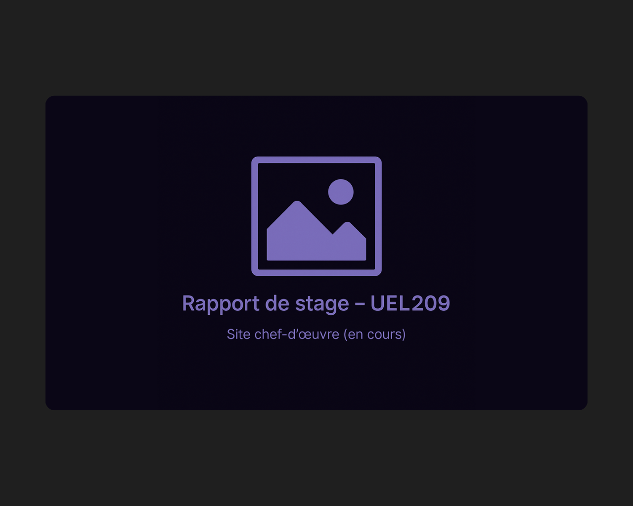 Rapport de stage 2025